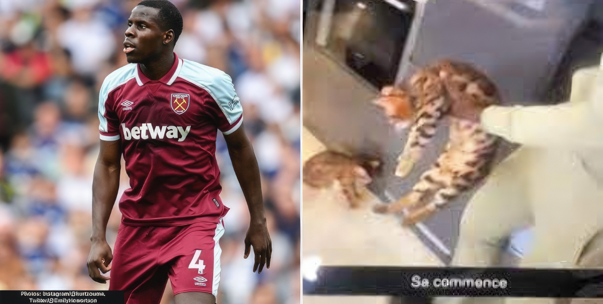 EPL: Zouma banned for five years for kicking, slapping pet cat || Peakvibez.com